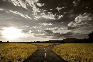 Crossroad in rural landscape under dusk sky